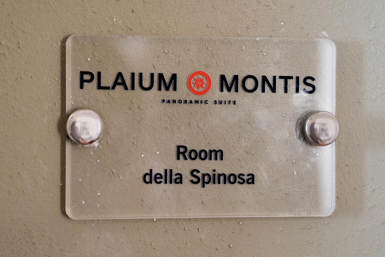 Plaium Montis Bed & Breakfast Salerno Luaran gambar